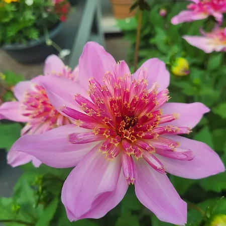 Erholung Im Gruenen Und Doch Zentral Apartament *