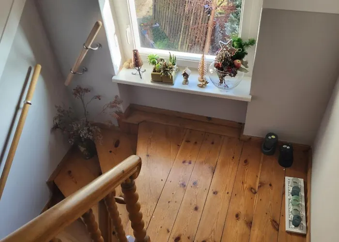 Erholung Im Gruenen Und Doch Zentral Berlin