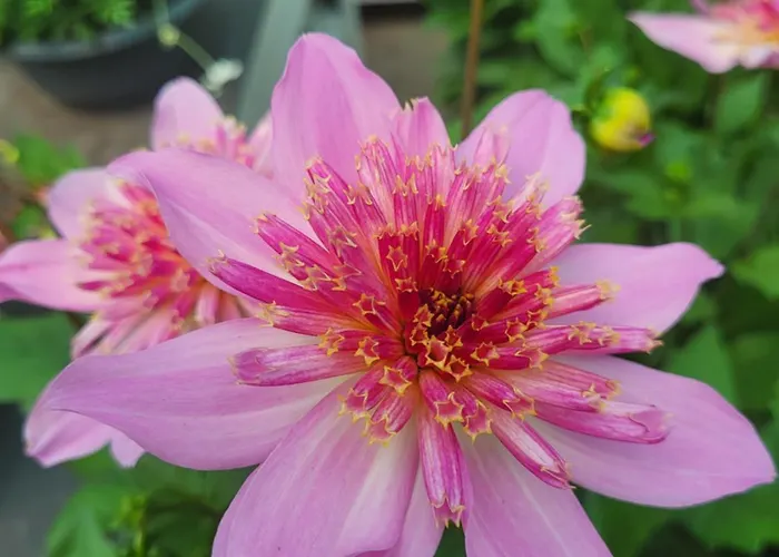 Erholung Im Gruenen Und Doch Zentral Lägenhet *