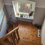 Erholung Im Gruenen Und Doch Zentral Berlijn